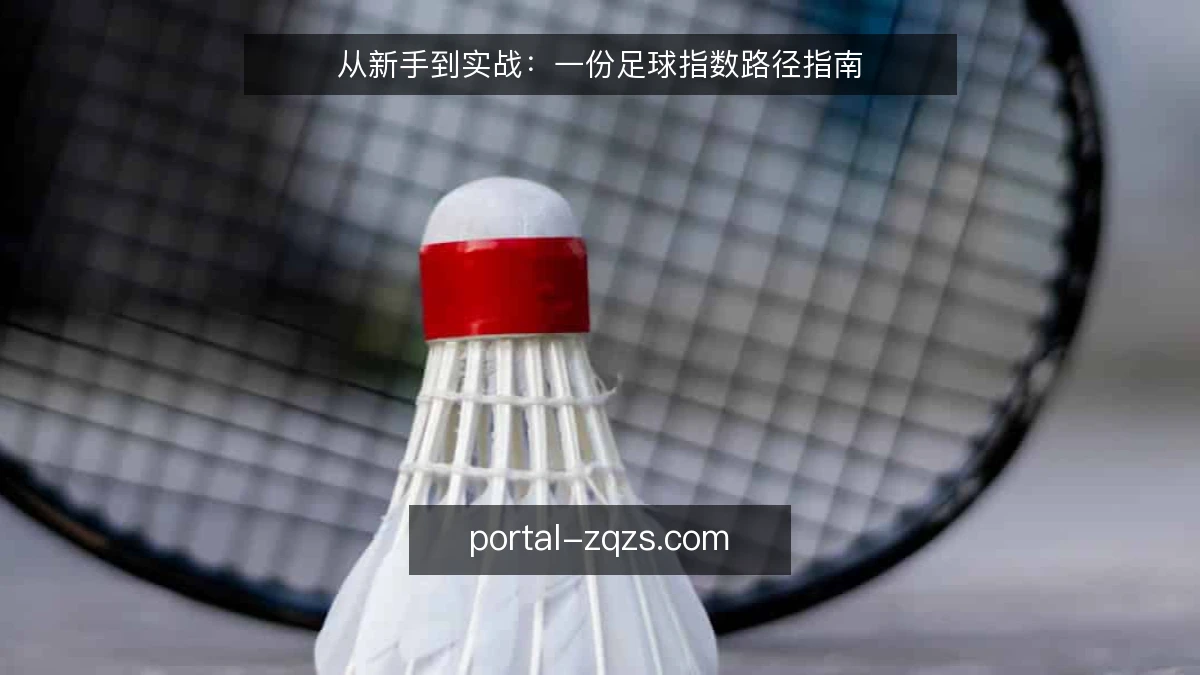 从新手到实战:一份足球指数路径指南